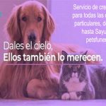 Havens pets3