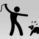 Violencia humana – animal