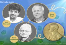 Tres científicos ganan el Premio Nobel de Medicina 2026 por activar neuronas mediante la luz